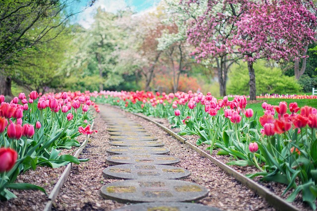Voortuin Onderhoud: Tips voor het Hele Jaar Door